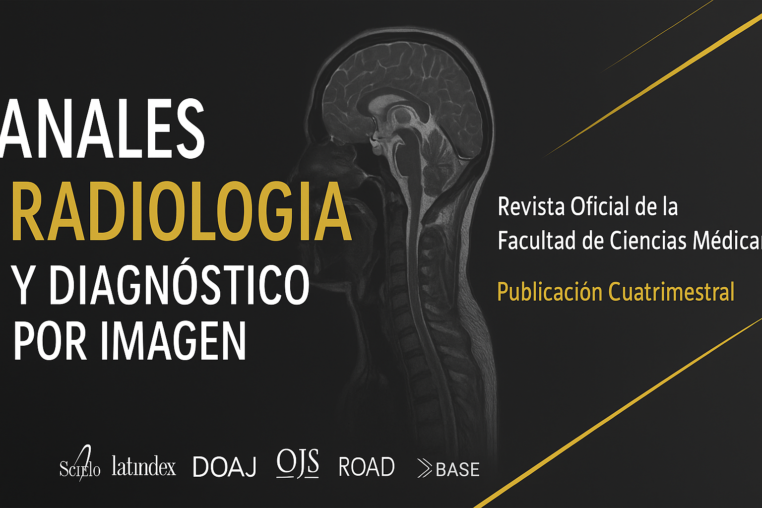 					Ver Vol. 1 Núm. 1 (2025): Número especial - Curso de OJS
				