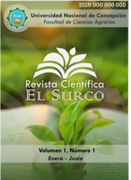 					Ver Vol. 1 Núm. 1 (2025): Número especial - Curso de OJS
				